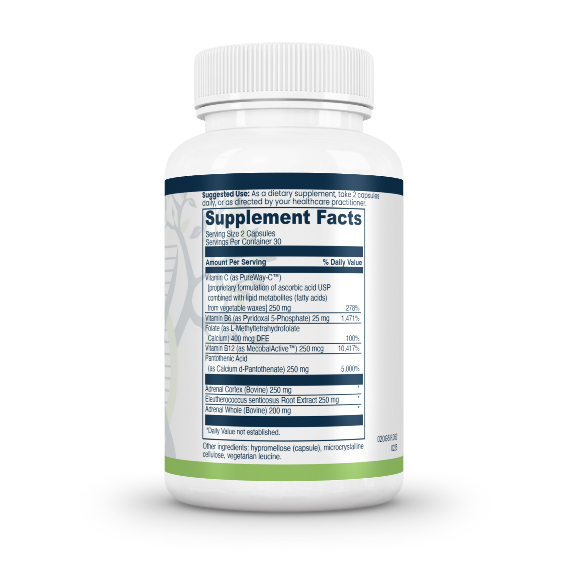 Adrenal Support Complex - Image 3