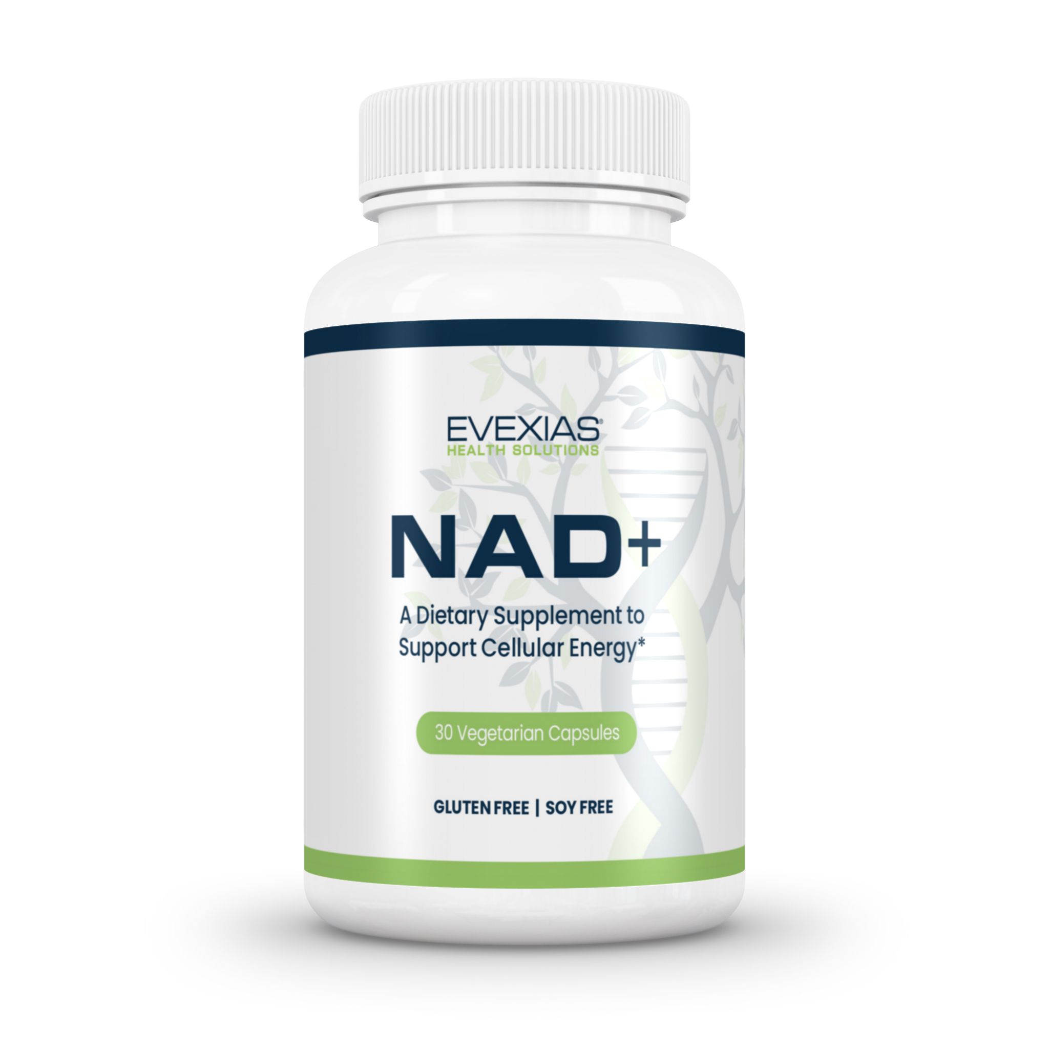 NAD+ Activate