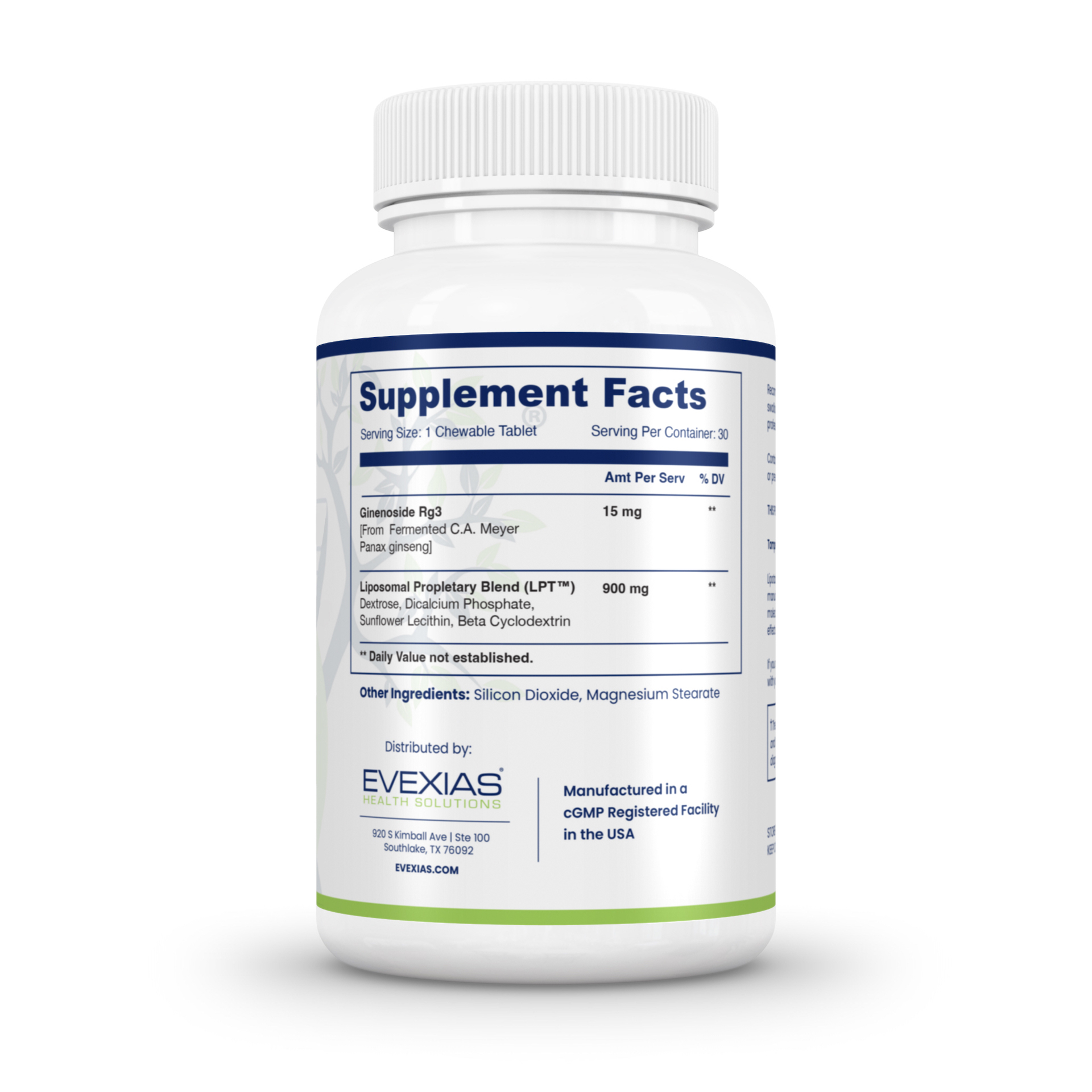 Synapsin LPT - Image 3
